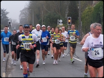 un essaim d'abeilles sur le semi-marathon ...
